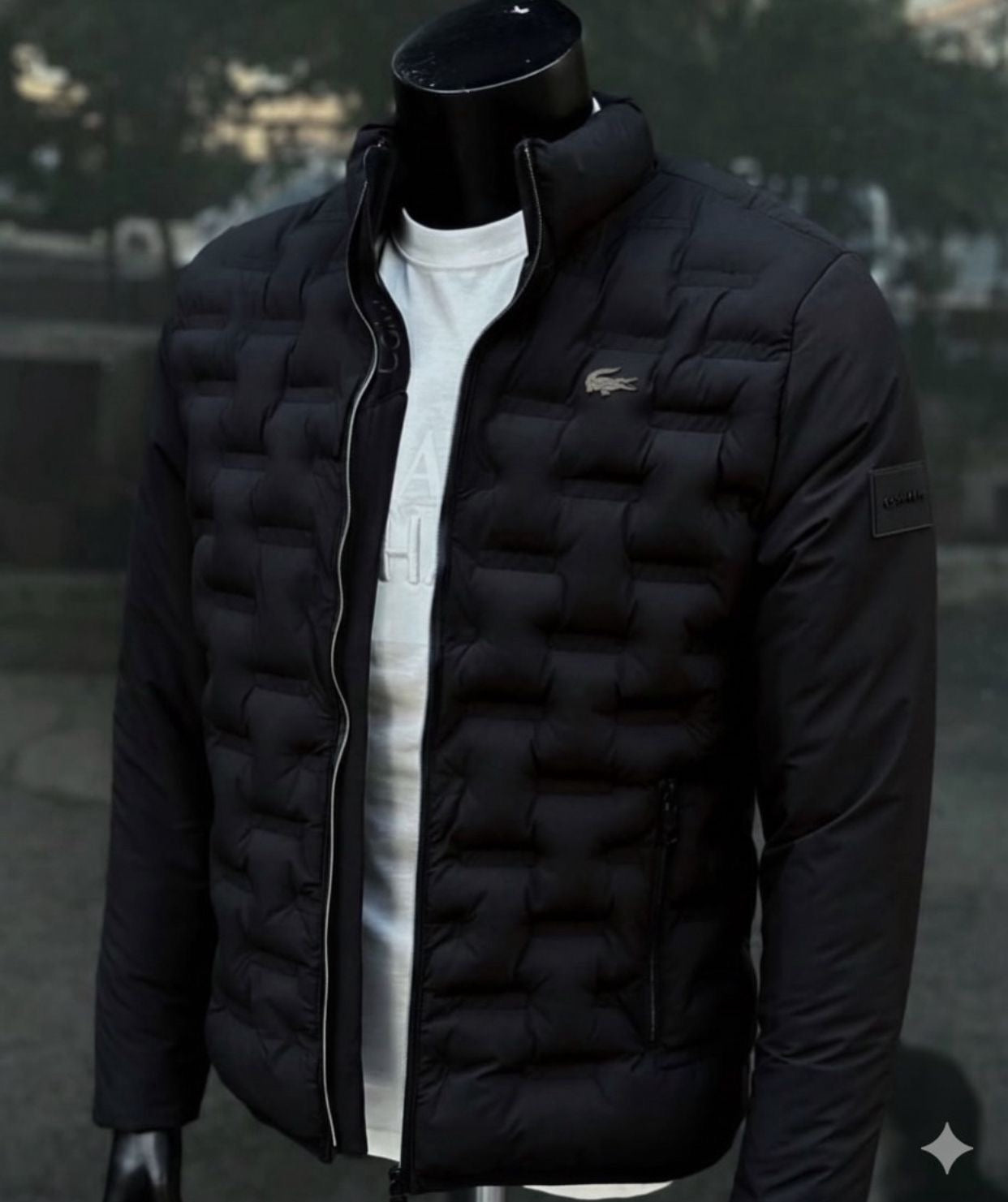 PREMIUM LACOSTE MONT