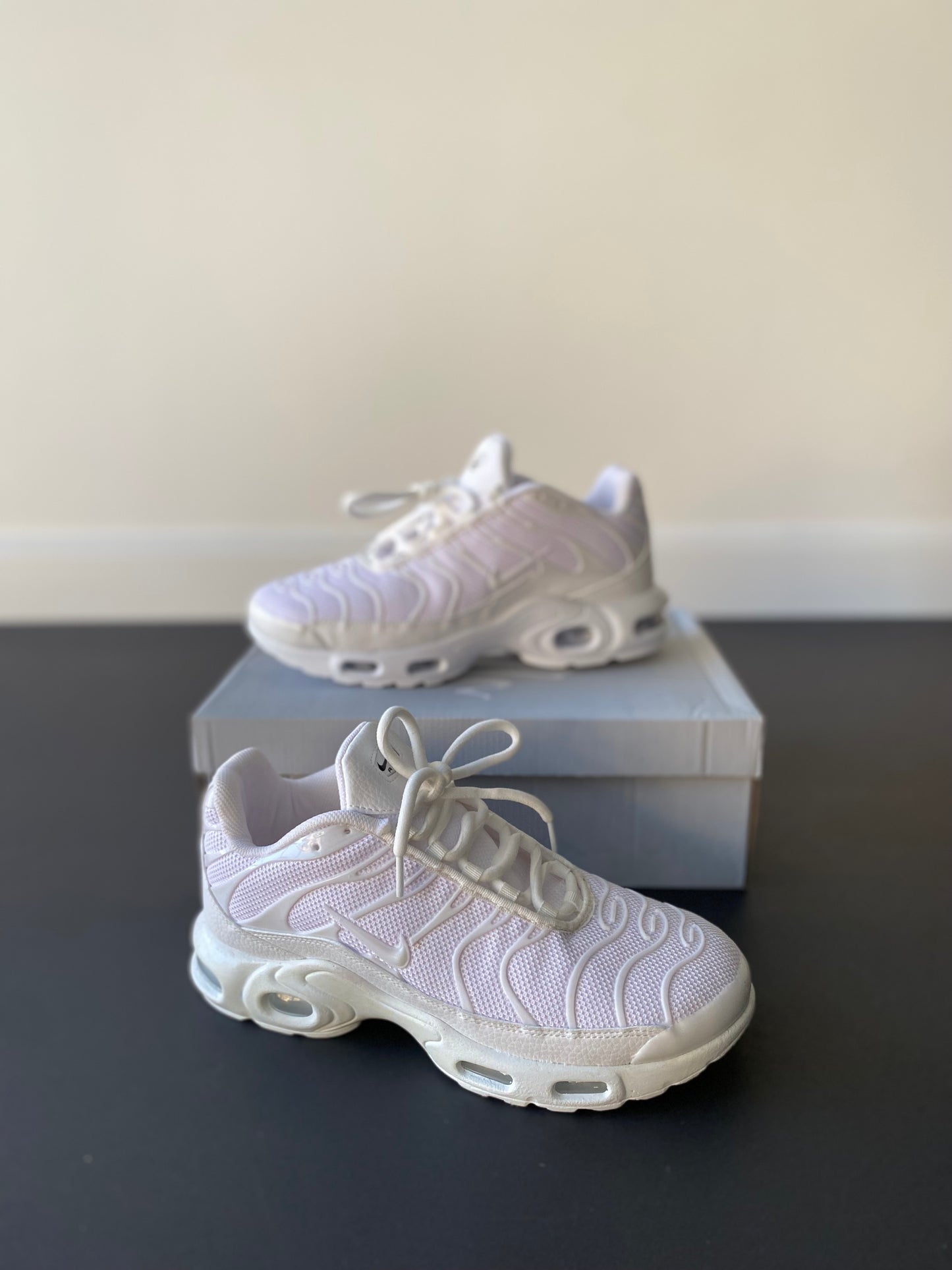 Air Max Plus TN White